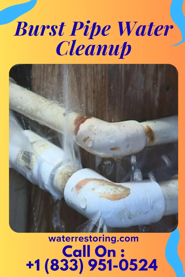 Burst Pipe Water Cleanup in Riverview, DE