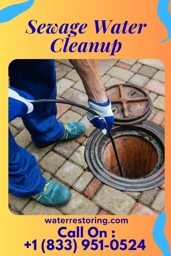 Sewage Water Cleanup in Riverview, DE